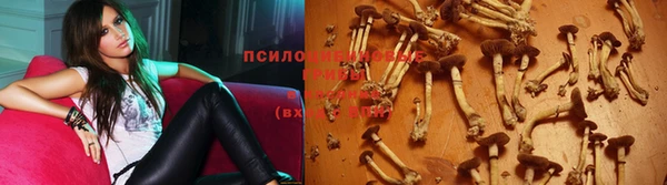 apvp Дмитров