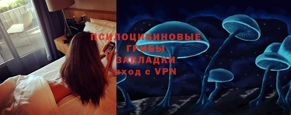 дмт Алексеевка