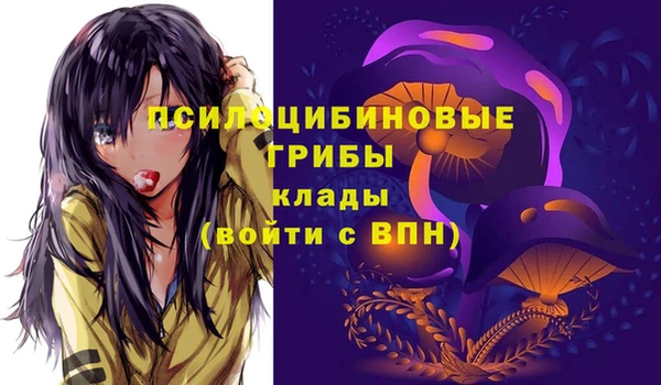 дмт Алексеевка