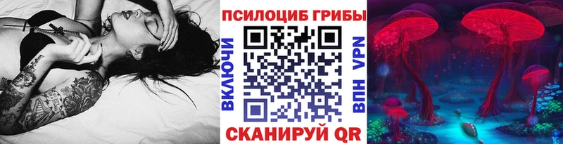 Псилоцибиновые грибы прущие грибы  Спасск 